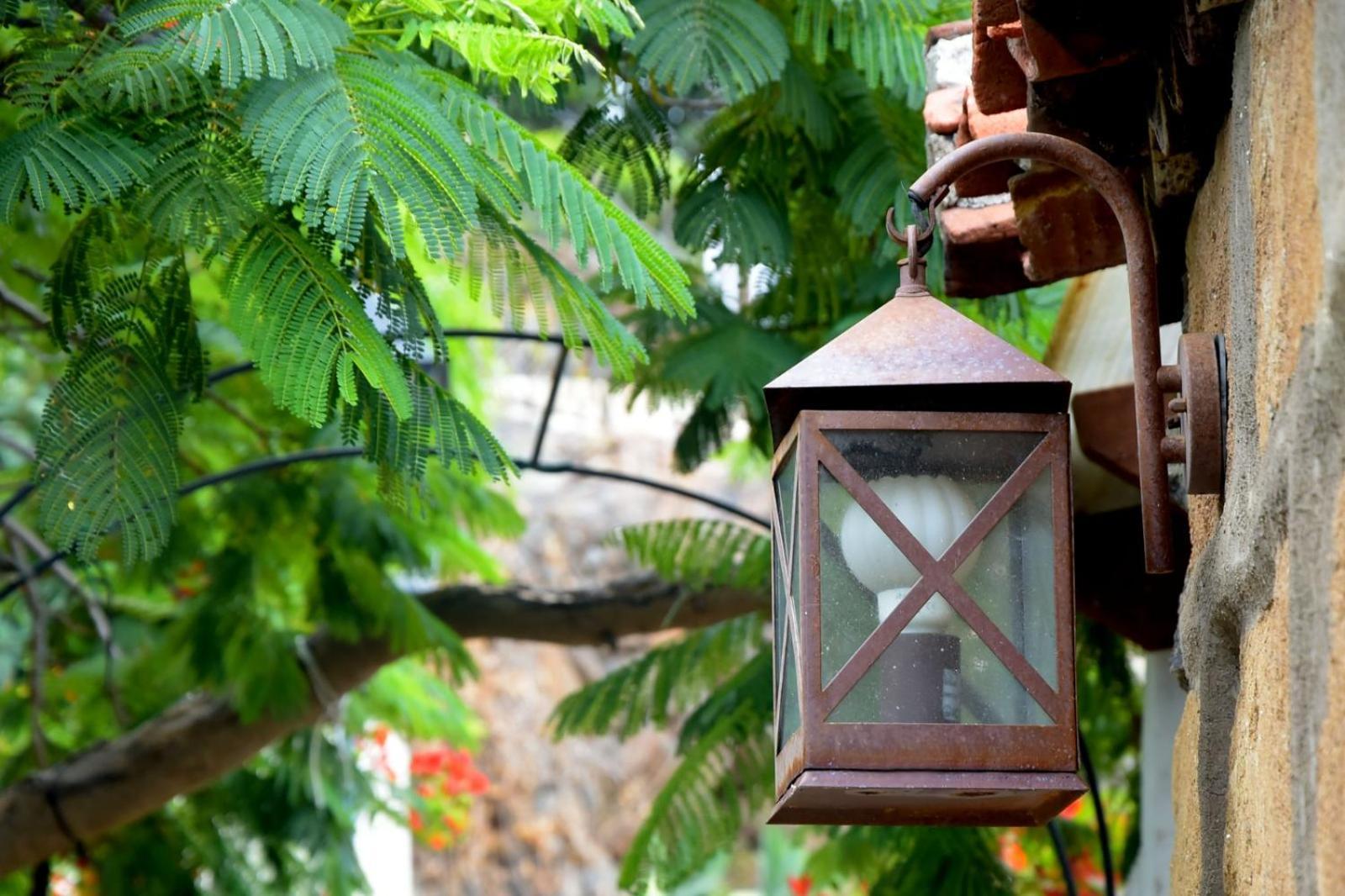 Romantic Hamlet Cottage With Private Pool La Fragua De Eliseo กันเดลาเรีย ภายนอก รูปภาพ